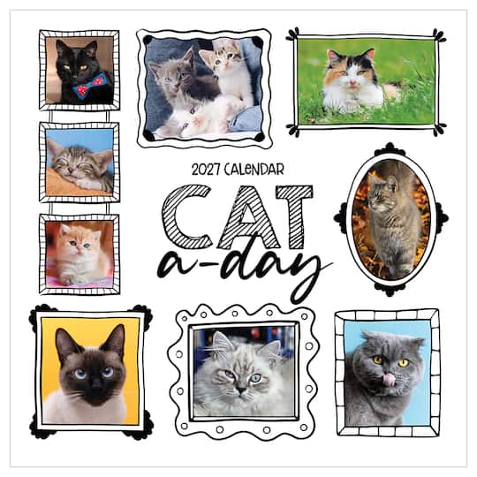 2027 Cat-A-Day Wall Calendar
